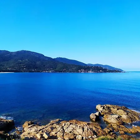 Narval Blanc Calcatoggio (Corsica)