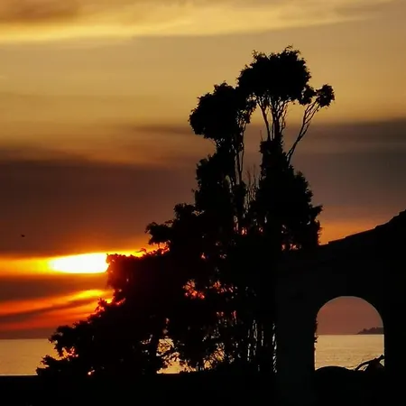 Narval Blanc Apartament Calcatoggio (Corsica)