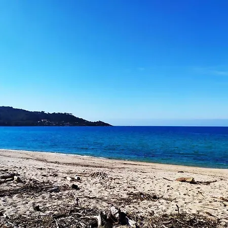Daire Narval Blanc Calcatoggio (Corsica)