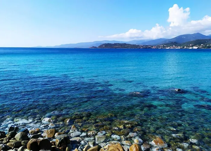 Narval Blanc Appartement