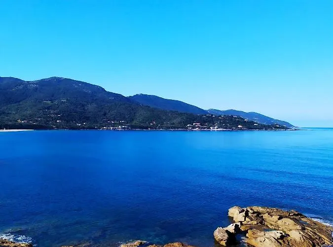 Narval Blanc Calcatoggio (Corsica)