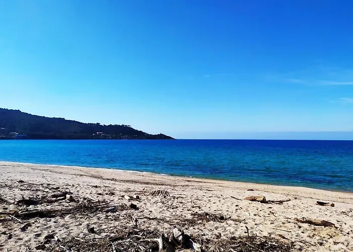 Appartement Narval Blanc Calcatoggio (Corsica)