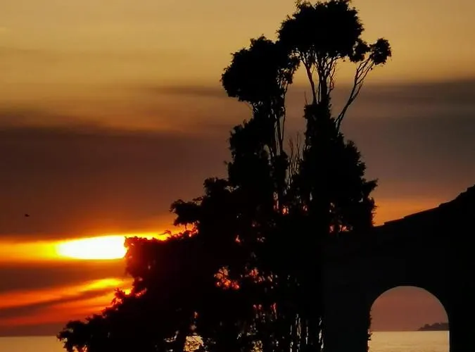 Narval Blanc Appartement Calcatoggio (Corsica)