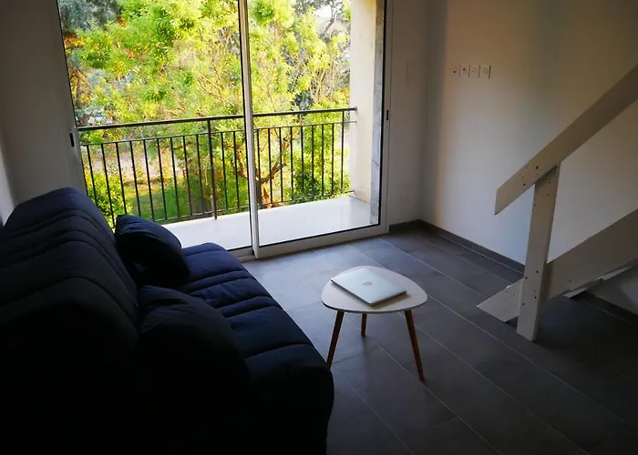 Narval Blanc * Calcatoggio (Corsica)